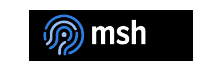 MSH Talent Solutions