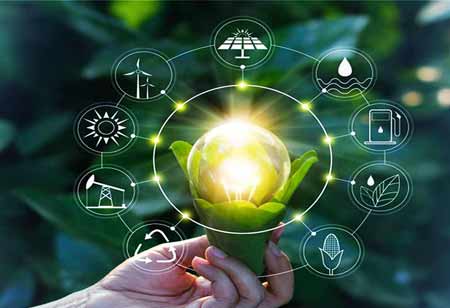 Growing Importance of Mentoring Solutions