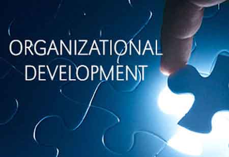 Leveraging Organizational Development to Enhance Business Efficiency