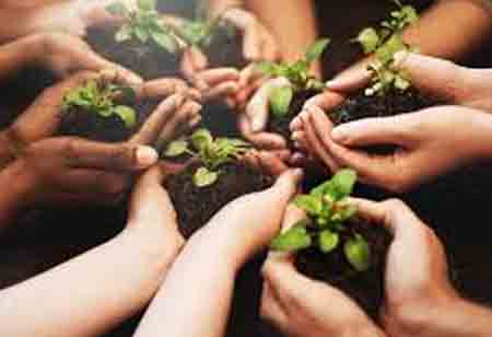Understanding How Talent Strategy Can Impact Performance 