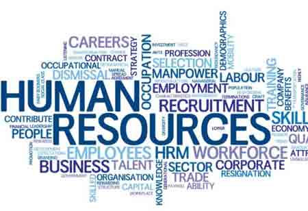 The Growing Presence of Emerging Technologies in the Workplace Hints at a Digital Revolution in the HR Sector