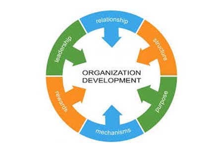Guiding Principles of Organizational Development