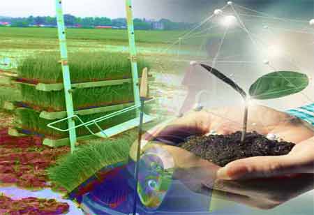 Human Resources Embracing Technological Transformation