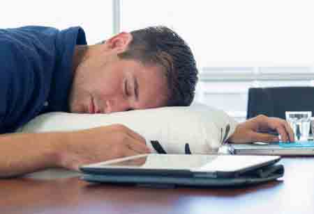 Implementing Wellness Program Will Improve Employee Productivity