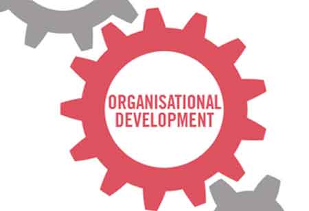From Chaos to High Performance; Different Stages of Organizational Development