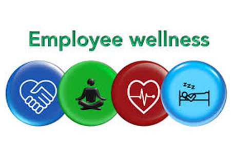 Leveraging Behavioural Insights to Improve Employee Wellbeing