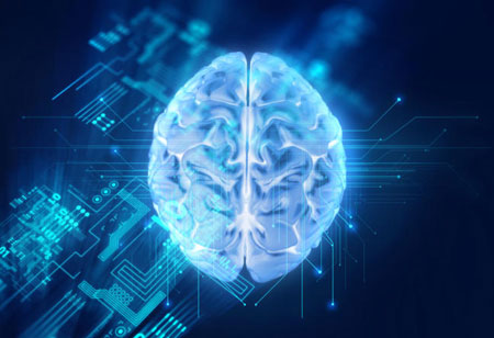 AI Applications Contributing to HR Functions