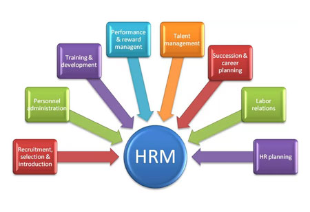Imparting a Balanced Whole Brain Approach to HR Management